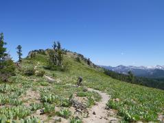 Climbing Ellis (Knee) Ridge