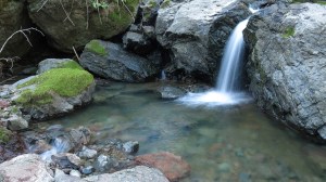 The same falls after a dry month