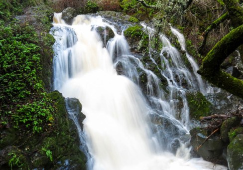 Blog update 4-12-13-1