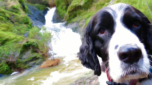 Blog update 4-12-13-2