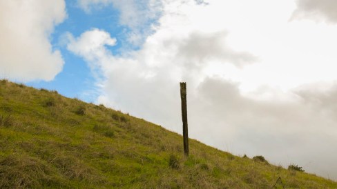 Blog update 4-12-13-3