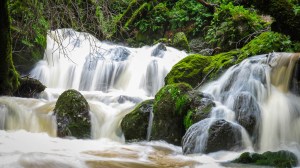 Blog update 4-12-13-4