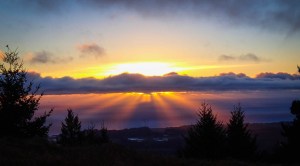 One of the still images from my upcoming timelapse film