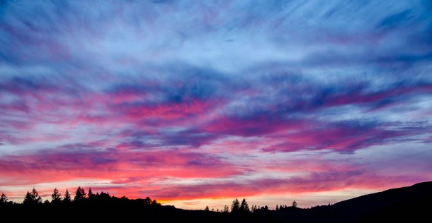 Blog update 4-12-13-8