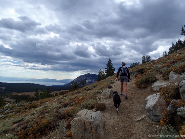 Freel-Rose-Job Sept 2013-10