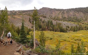 Freel-Rose-Job Sept 2013-11