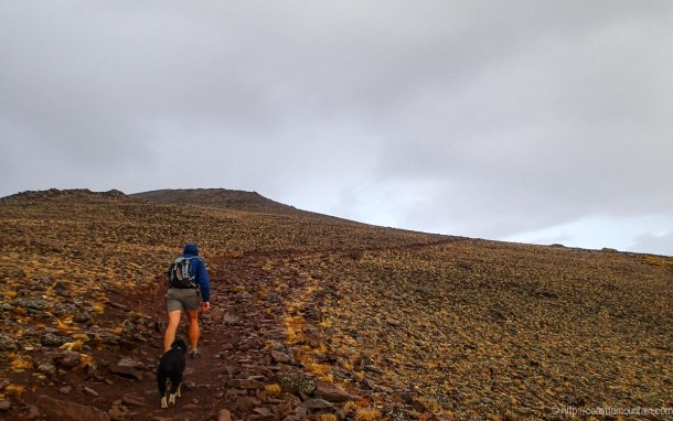 10,500' with rain and hail rolling in.