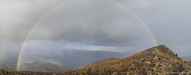 Freel-Rose-Job Sept 2013-15