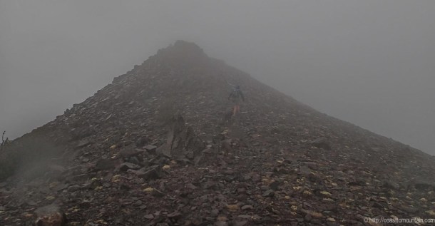 Freel-Rose-Job Sept 2013-19