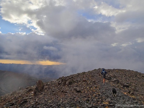 Freel-Rose-Job Sept 2013-21