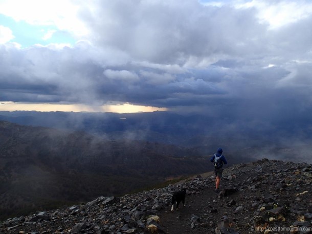 Freel-Rose-Job Sept 2013-22