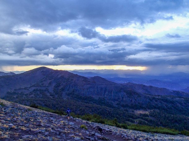 Freel-Rose-Job Sept 2013-25